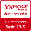 Yahoo! PROMOTIONAL ADVANCES PROFESSIONAL Basic